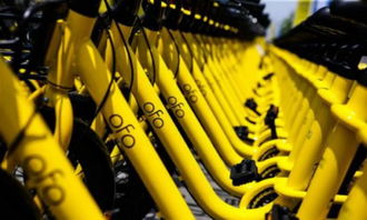 ofo 回應異常扣費 抖音回應廣告業務被停 余額寶總規模達 1.8 萬億元